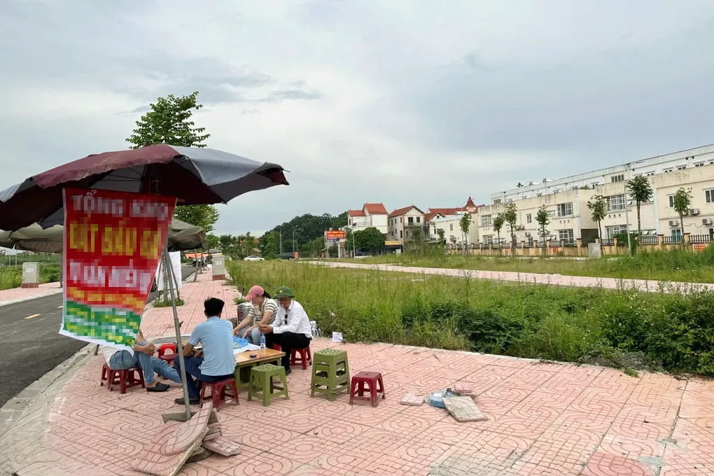 Siết chặt quản lý để chấm dứt tình trạng đầu cơ, thổi giá đất đấu giá